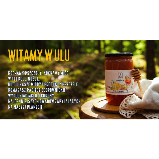 Zestaw Prezentowy 3 Miody Leśny + Wielokwiatowy + Lipowy Bobrownickie Łąki